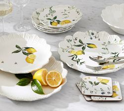 Monique Lhuillier Claudia Outdoor Melamine Dinner Plates - Set of 4