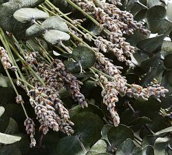 Monique Lhuillier Dried Lavender Bundles