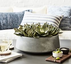 Composed Succulent Arrangement In Ceramic Planter