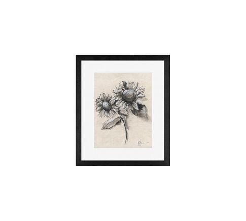 Sunflower with Stem Sketch