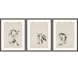 Equestrian Drawing Framed Print