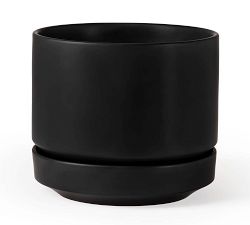 Modern Black Ceramic Planters
