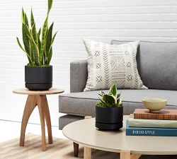 Modern Black Ceramic Planters