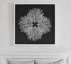 Coral Shadow Box Art