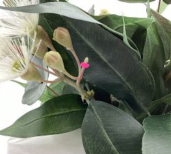 Open Box: Faux Eucalyptus Arrangement In Glass Vase