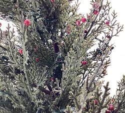 Open Box: Lit Cedar Berry Pine Tree (3')