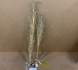 Open Box: Twinkling Twig Trees (7') - Gold