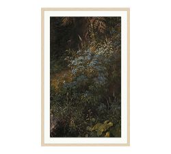 Hillside Wallflowers Framed Print