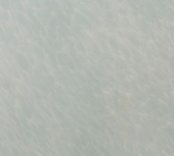 Jackie Glass Globe Pendant (11.5")