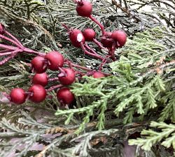 Open Box: Faux Lit Cedar Wreath With Berries (28")