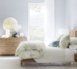 Oversized Sand Dollar