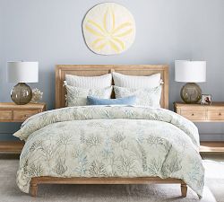 Oversized Sand Dollar