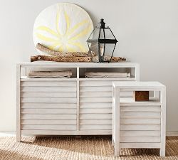 Oversized Sand Dollar