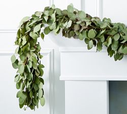 Fresh Silver Dollar Eucalyptus Wreath &amp; Garland