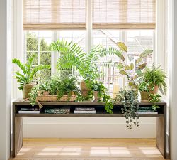 Faux Trailing Variegated String Of Hearts Houseplant