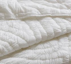 Ruched Paisley Quilt &amp; Shams