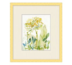 Wild Flowers Prints