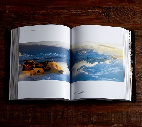 Louis Vuitton: The Birth of Modern Luxury Book | Pottery Barn