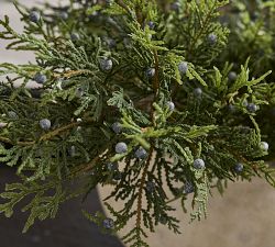 Faux Juniper Clippings Bundle