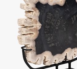 Petrified Wooden Sculpture