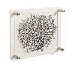 Black Fan Shadow Box