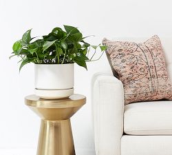 Modern White Ceramic Planters