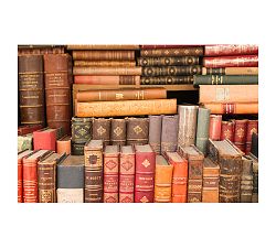 A Good Read Framed Prints by Rebecca Plotnick