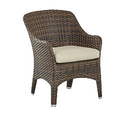 Abrego All-Weather Wicker Dining Chair, Set of 2
