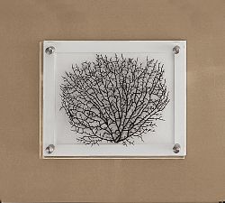 Black Fan Shadow Box