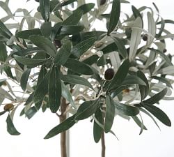 Faux Olive Topiary
