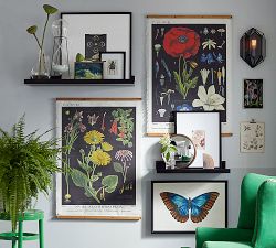 Botanical Printed Canvas