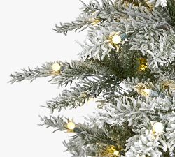 Lit Slim Flocked Nova Scotia Spruce Faux Christmas Tree