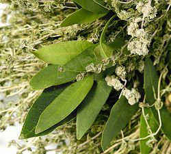 Live Dried Herb Wreath