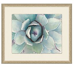 Spring Agave Framed Print