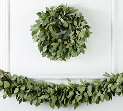 Fresh Silver Dollar Eucalyptus Wreath &amp; Garland