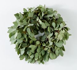 Fresh Silver Dollar Eucalyptus Wreath &amp; Garland