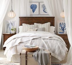 Coral in Blue Framed Prints