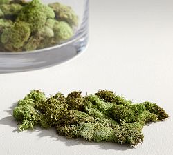 Decorative Reindeer Moss