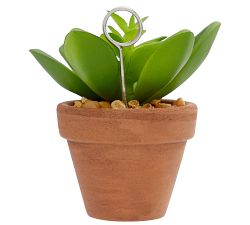 Succulent Place Card Holders, Set of 4