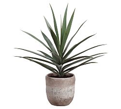 Open Box: Faux Yucca Plant In Cement Planter, 31"
