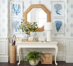 Coral in Blue Framed Prints