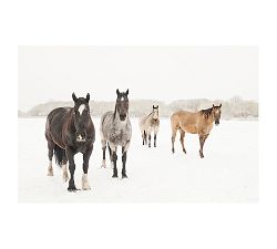 Waiting for Spring Framed Print by Jennifer Meyers