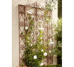 Iron Wall-Mount Gate