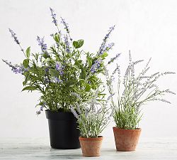 Faux Potted Lavender in Terracotta Pot