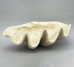 Open Box: Giant Clam Decorative Object