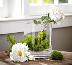 Decorative Reindeer Moss