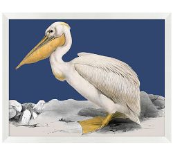 Pelican on Blue Print