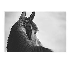 Sideways Glance Framed Paper Print by Jennifer Meyers