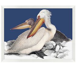 Pelican on Blue Print