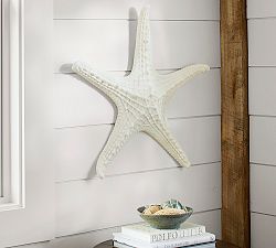 Starfish Wall Art